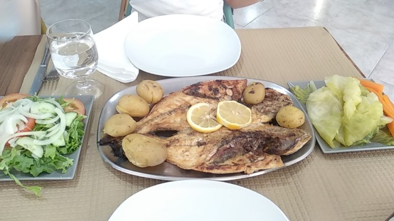 Bom peixe - Fotografia - Prior Velho